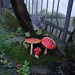 Profum Di Bosc Panzió