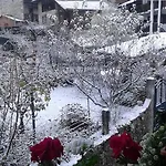 Profum Di Bosc 3* Arta Terme
