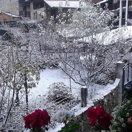 Profum Di Bosc 3* Arta Terme