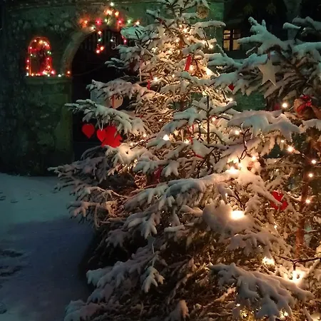Profum Di Bosc Nocleg ze śniadaniem Arta Terme